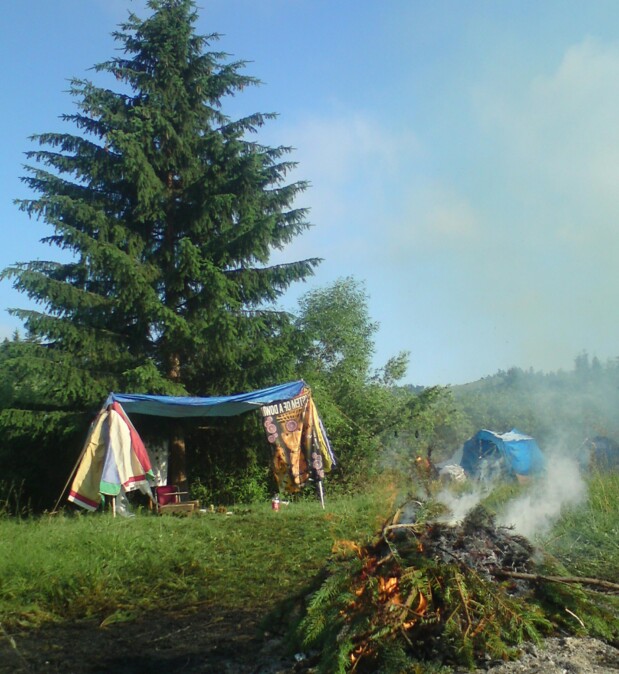 pexels-kalamar-istvan-norbert-314766-981344